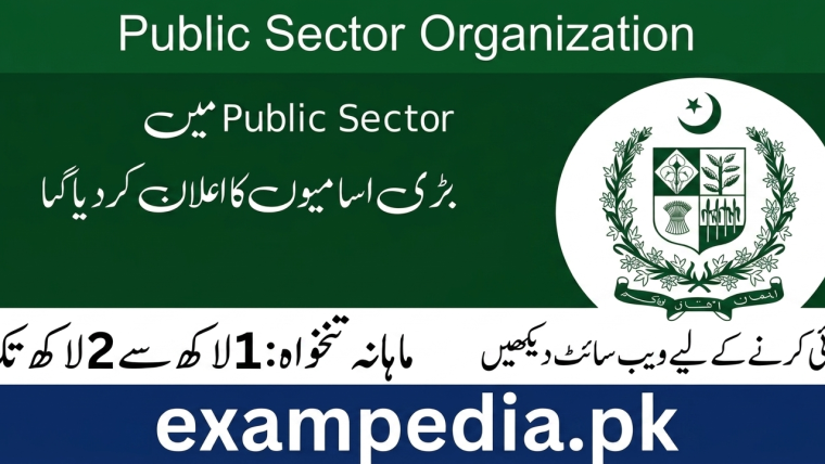 Public Sector Organization Jobs 2026 apply online for management and engineering vacancies in Pakistan